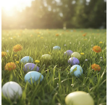 Gekleurde paaseieren verspreid op een zonnig groen gazon met kleine bloemen.