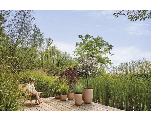 Houten terras aan een vijver met een kind in een stoel en diverse planten in ronde, beige bloempotten, omringd door hoog gras en bomen.
