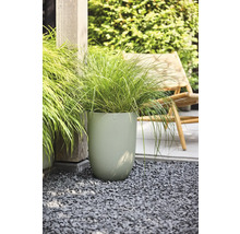 Hoge, lichtgroene plantenpot met golfstructuur en siergras op grijs grind in de tuin.