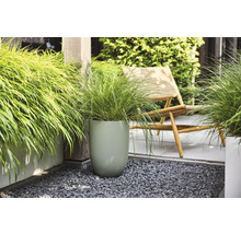 Siergras in een hoge, getextureerde groene bloempot op een modern terras met grijs split en een houten ligstoel.
