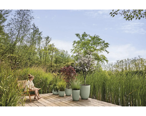 Lichtgroene bloempotten met verschillende planten op een houten terras, omringd door hoog gras en bomen in een lichte atmosfeer.