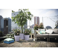 Modern dakterras met loungebank en bloempotten met bamboe en oleander op houten planken voor een stadsskyline.