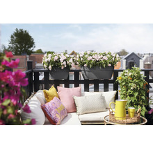 Gezellig balkon met loungebank, kleurrijke kussens en zwarte balkonbakken aan de reling met lichtroze bloemen.