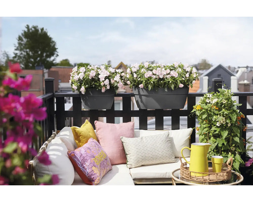 Gezellig balkon met loungebank, kleurrijke kussens en zwarte balkonbakken aan de reling met lichtroze bloemen.