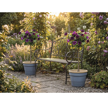 Metalen tuinbank met sierlijke details en twee stamrozen in plantenpotten op een zonnig stenen terras in een bloemrijke tuin.