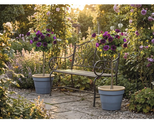 Metalen tuinbank met sierlijke details en twee stamrozen in plantenpotten op een zonnig stenen terras in een bloemrijke tuin.