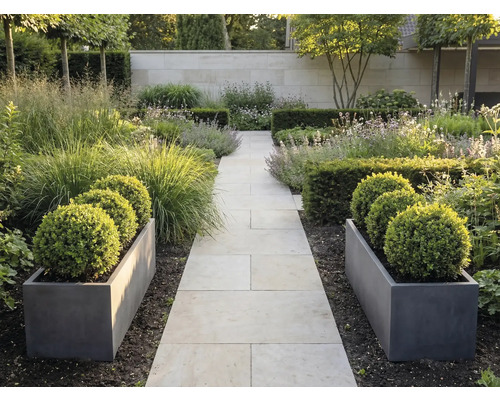 Moderne tuin met licht stenen pad, donkergrijze plantenbakken met buxusbollen, grassen en hagen voor een stenen muur.