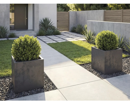 Modern tuinontwerp met twee vierkante plantenbakken, buxusstruiken, betonnen pad en grind.