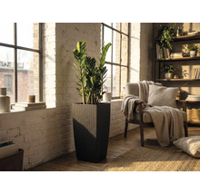 Hoge vierkante plantenbak in donkere rotanlook met een Zamioculcas-plant in een lichte woonkamer met witte bakstenen muur.