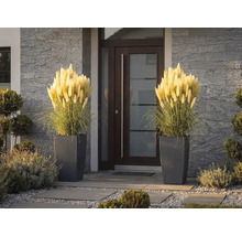 Twee hoge plantenbakken met gevlochten structuur en pampasgras naast een moderne voordeur met stenen muur.