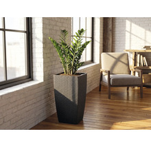 Hoge vierkante plantenbak van vlechtwerk met een Zamioculcas in een lichte kamer met witte bakstenen muren en een houten vloer.