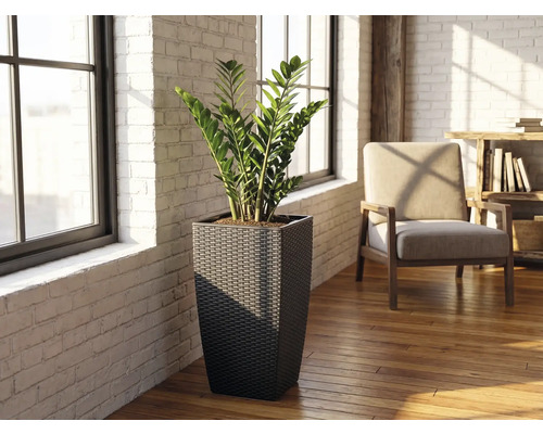 Hoge vierkante plantenbak van vlechtwerk met een Zamioculcas in een lichte kamer met witte bakstenen muren en een houten vloer.