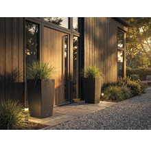 Twee hoge, donkere plantenbakken met rotanlook en siergras bij een moderne, georganiseerde entree met houten gevel en stenen pad.