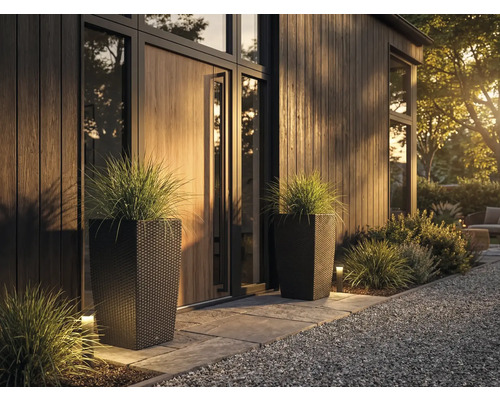 Twee hoge, donkere plantenbakken met rotanlook en siergras bij een moderne, georganiseerde entree met houten gevel en stenen pad.