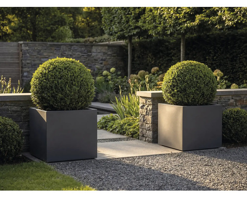 Twee grote antracietkleurige vierkante plantenbakken met bolvormige buxus in een moderne tuin met stenen muur en grindpad.