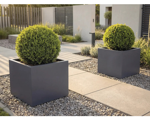 Twee vierkante donkergrijze plantenbakken met bolvormige groene struiken op een modern tuinpad met betonplaten en grijs grind.