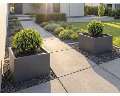 Moderne tuin met grote betonnen tegels, antracietkleurige vierkante plantenbakken en bolvormig gesnoeide buxusstruiken.