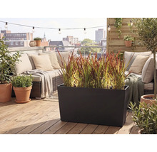Modern dakterras met een grote zwarte plantenbak met siergras, een loungeset met kussens en terracotta bloempotten op een houten vlonder.