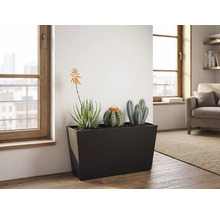 Zwarte, rechthoekige plantenbak met cactussen en vetplanten in een lichte woonkamer met houten vloer en grote ramen.