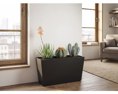 Zwarte, rechthoekige plantenbak met cactussen en vetplanten in een lichte woonkamer met houten vloer en grote ramen.