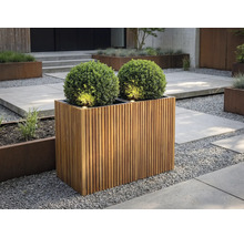 Rechthoekige plantenbak van houten latten met twee buxusbollen en geïntegreerde verlichting in een modern vormgegeven tuin met grind.