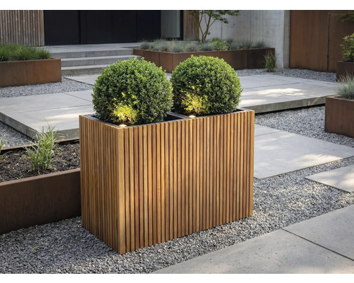 Rechthoekige plantenbak van houten latten met twee buxusbollen en geïntegreerde verlichting in een modern vormgegeven tuin met grind.