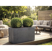 Rechthoekige grijze plantenbak met twee bolvormige buxussen op een houten terras in een tuinlounge met een vuurschaal en bank.
