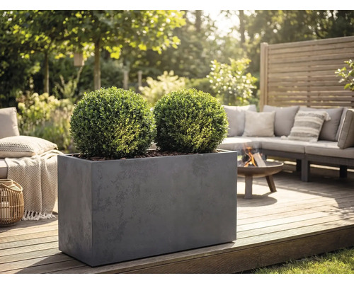 Rechthoekige grijze plantenbak met twee bolvormige buxussen op een houten terras in een tuinlounge met een vuurschaal en bank.