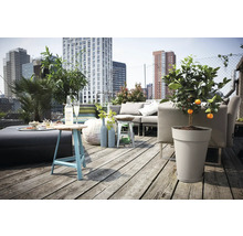 Dakterras met houten vlonder, grijze loungeset, plantenbak met citrusboom, blauwe bijzettafel en uitzicht op de stad.