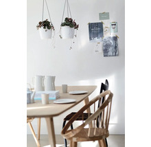 Lichte eetkamer met houten tafel, twee hangende plantenpotten en Scandinavische stoelen voor een witte muur met ansichtkaarten.