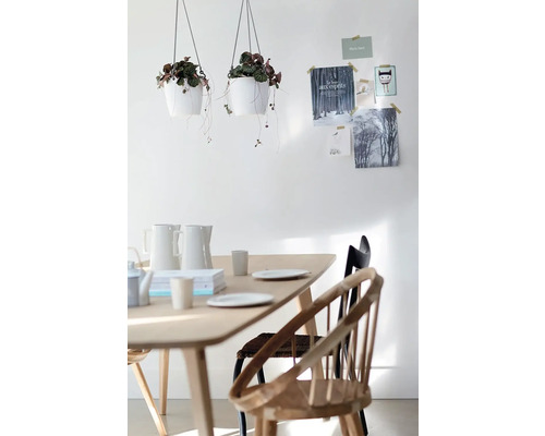 Lichte eetkamer met houten tafel, twee hangende plantenpotten en Scandinavische stoelen voor een witte muur met ansichtkaarten.