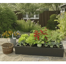 Donkere rechthoekige plantenbak met sla, kerstomaten en andere groenten op een stenen terras in een lichte tuin met een gieter en mandje.