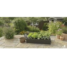 Zwarte plantenbak met sla en groenteplanten op een stenen terras in een lichte tuin met bloemen en een tuinhuisje.