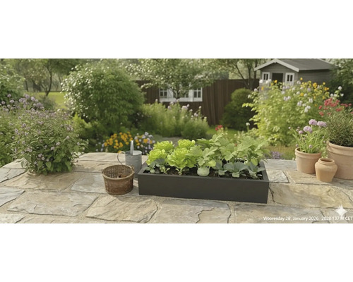 Zwarte plantenbak met sla en groenteplanten op een stenen terras in een lichte tuin met bloemen en een tuinhuisje.