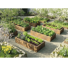 Georganiseerde lichte tuin met rechthoekige moestuinbakken van cortenstaal beplant met groenten en kruiden op grind.