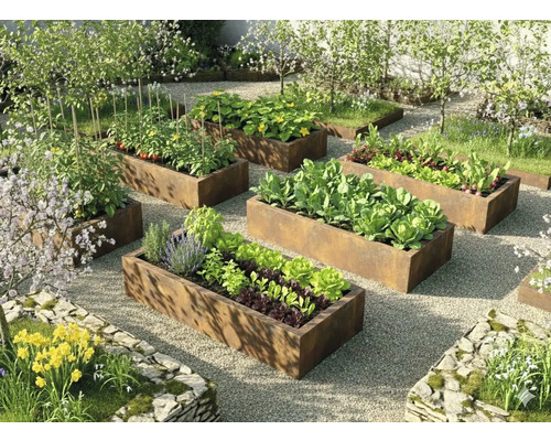 Georganiseerde lichte tuin met rechthoekige moestuinbakken van cortenstaal beplant met groenten en kruiden op grind.