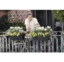Vrouw op een balkon achter twee balkonbakken met witte bloemen aan een versierde metalen reling.