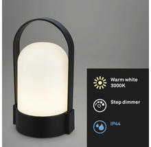 Draagbare buitenlamp met handgreep, warm wit licht 3000 Kelvin, trapsgewijze dimmer en beschermingsklasse IP44.