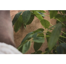 Gestructureerd behang in bruine textiel look met groene plantenbladeren op de voorgrond