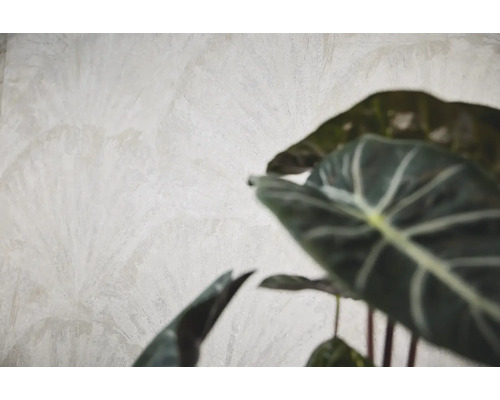 Gestructureerd vliesbehang met subtiel palmbladmotief in beige en kamerplant op de voorgrond.