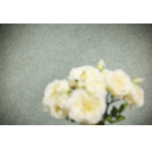 Vliesbehang met fijne textuur in linnenlook en onscherpe bloemen op de voorgrond.