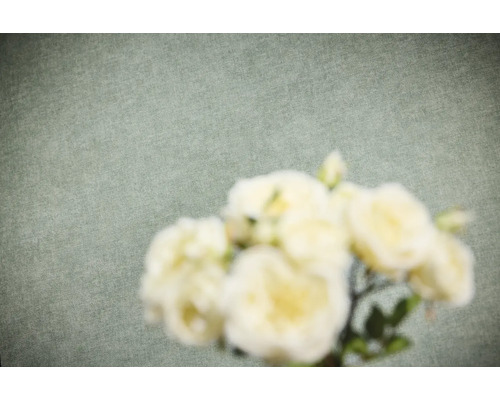 Vliesbehang met fijne textuur in linnenlook en onscherpe bloemen op de voorgrond.