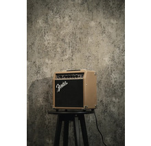 Fender akoestische versterker op een kruk voor een muur met textuur.