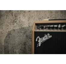 Fender Logo op een gitaarversterker voor een wand met een betonstructuur.