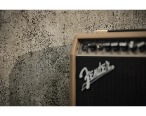 Fender Logo op een gitaarversterker voor een wand met een betonstructuur.