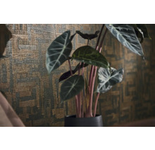 Behang met structuur en een abstract geometrisch patroon achter een Alocasia kamerplant.