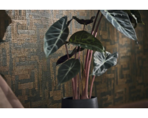 Behang met structuur en een abstract geometrisch patroon achter een Alocasia kamerplant.