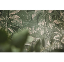 Gestructureerd groen behang met botanisch bladerpatroon en verweerde pleisterlook.