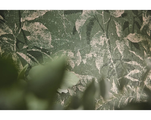 Gestructureerd groen behang met botanisch bladerpatroon en verweerde pleisterlook.