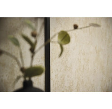 Beige gestructureerd behang met een gemêleerde afwerking achter een wazige plant.